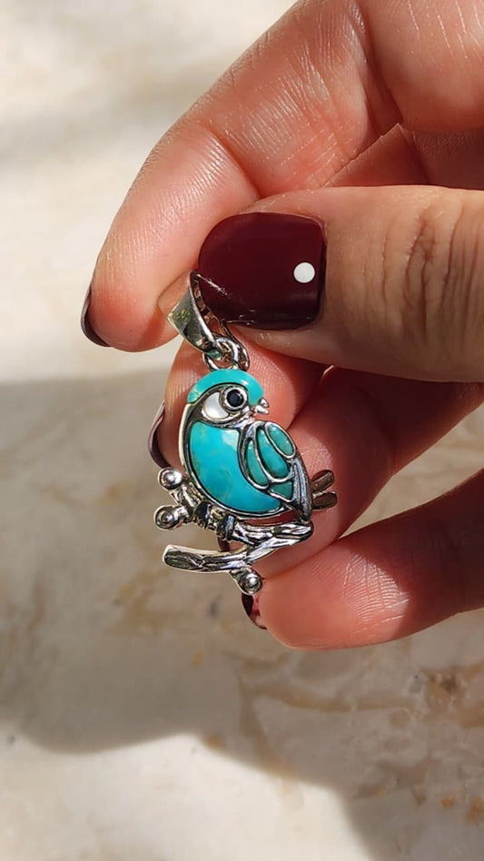 FAIROZ BIRD