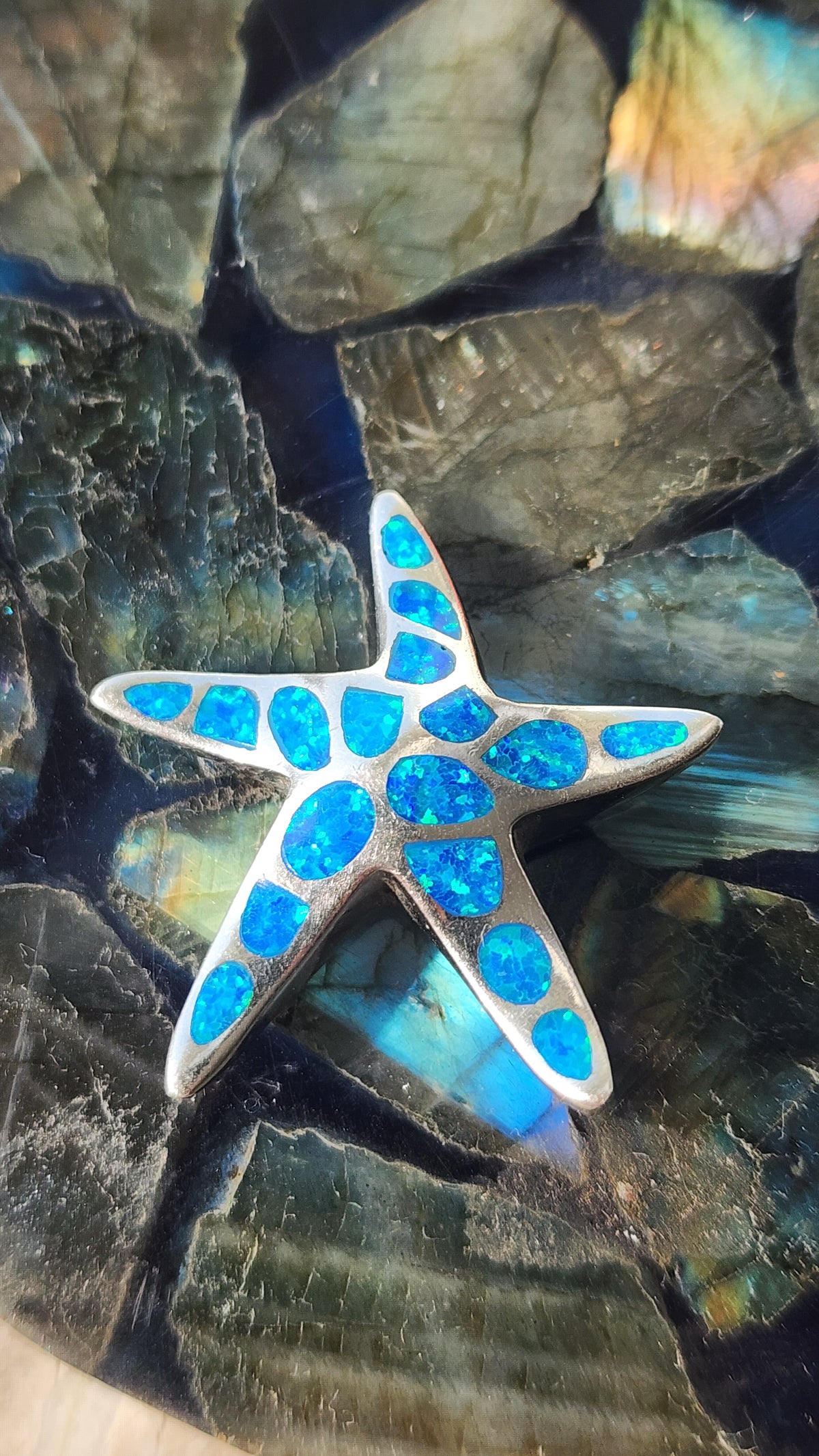 OPAL STARFISH