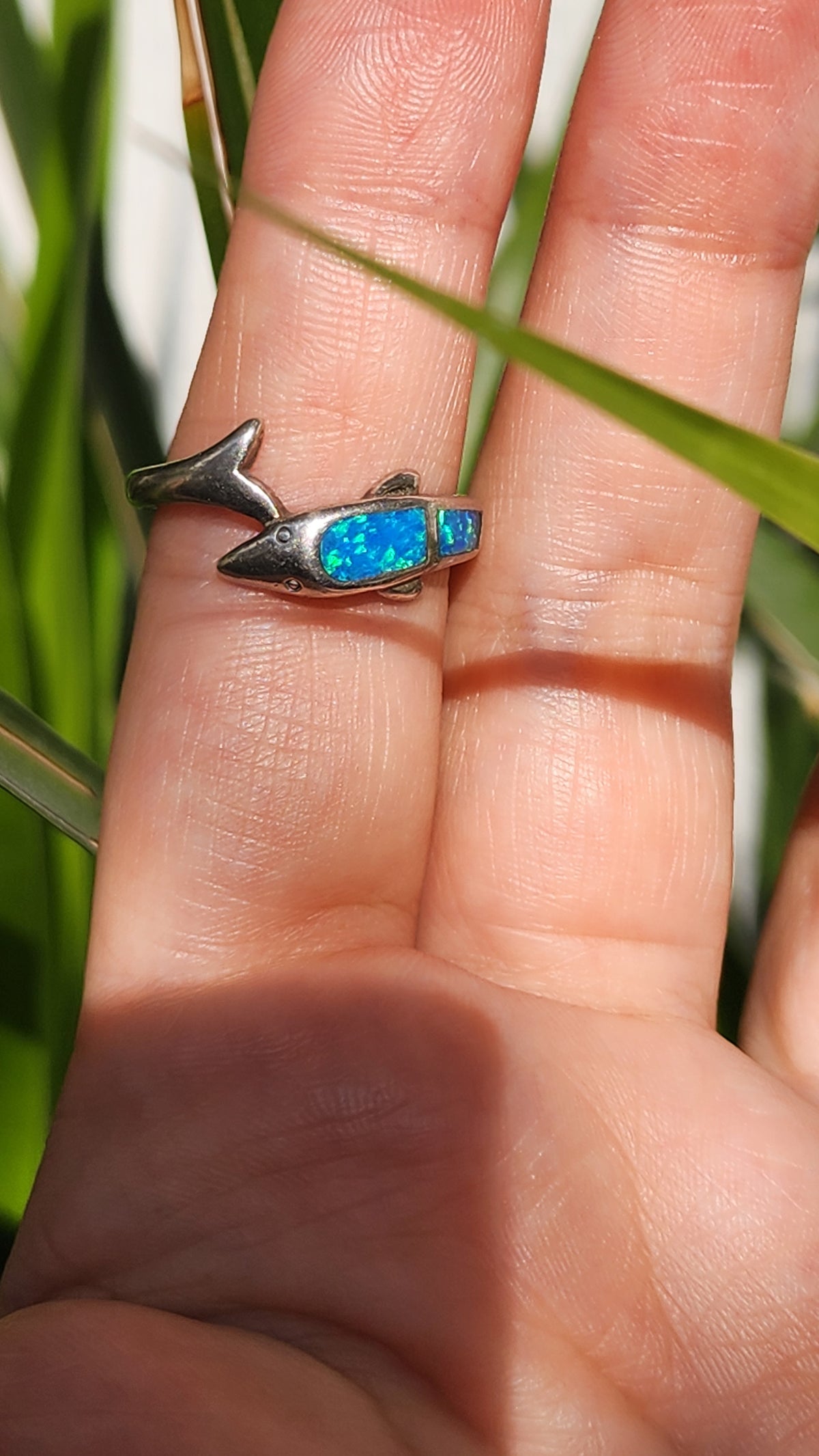 OPAL DOLPHIN TAILS