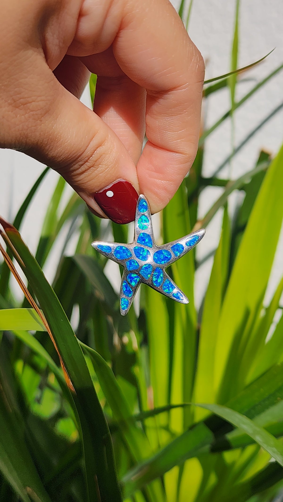 OPAL STARFISH