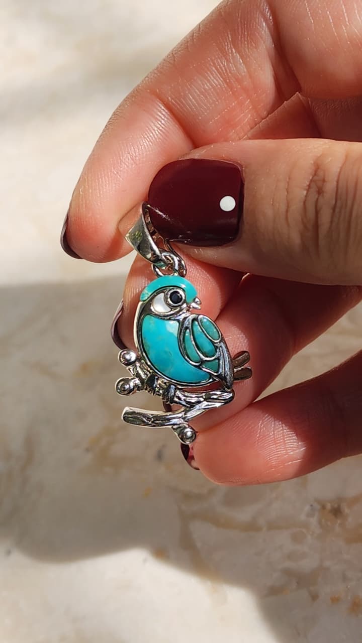 FAIROZ BIRD